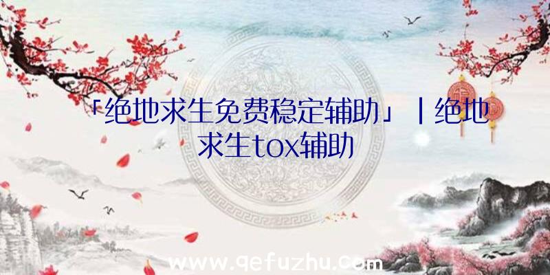 「绝地求生免费稳定辅助」|绝地求生tox辅助